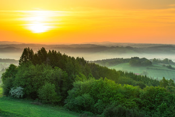 Green fields at sunrise in mist