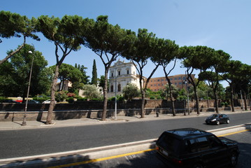  San Gregorio Magno al Celio; car; tree; plant; woody plant