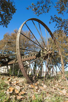 ancienne herse agricole