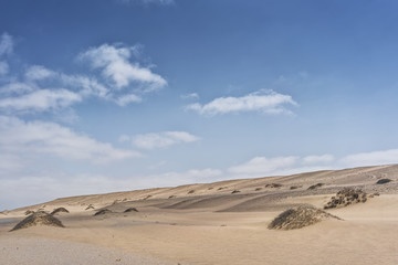 Dunes of the Namibe Desert with vegetation. Africa. Angola.