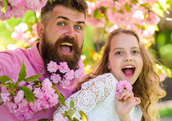 Fototapeta premium Girl with dad near sakura flowers on spring day. Father and daughter on happy faces play with flowers and hugs, sakura background. Child and man with tender pink flowers in beard. Spring mood concept.