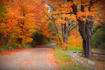 Autumn drive in rural Vermont