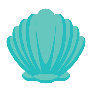seashell icon over white background, vector illustration