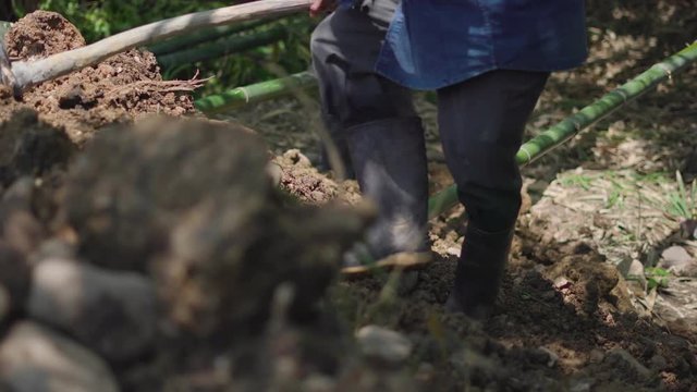 Asian worker using bamboo wood for building natural check dam