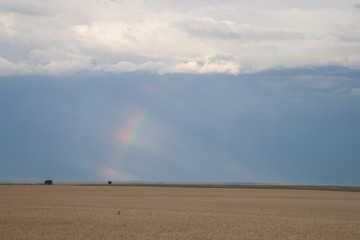 Rainbow Over a Stormy Field