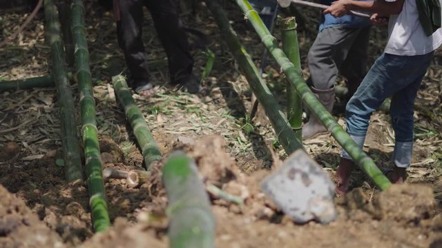 Asian worker using bamboo wood for building natural check dam