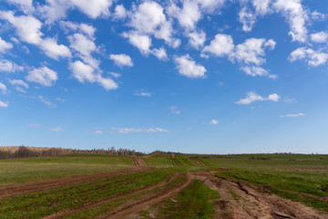 Fototapeta na wymiar field dirt road goes beyond the horizon and white clouds in the blue sky