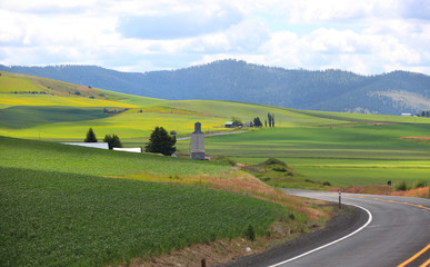 Farm landscape in Palouse, Washington.