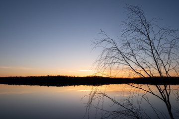 Serene lake Päijänne in Finland with birch branches on foreground