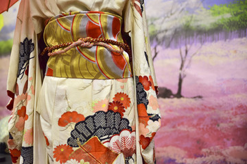 Kimono. Traditional Japanese dress for women with decorations