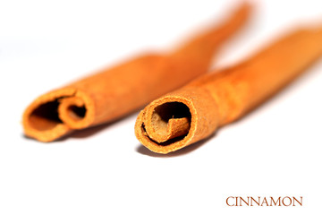 Close up shot of two Cinnamon sticks