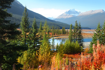 Scenic landscape in Jasper national park near Icefields park way