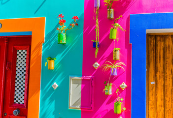 Colorful flower pots on colorful abstract painted wall in the streets of Funchal, capital of Madeira island, Portugal - obrazy, fototapety, plakaty