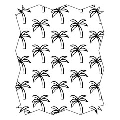 abstract frame with tropical palms pattern over white background, vector illustration