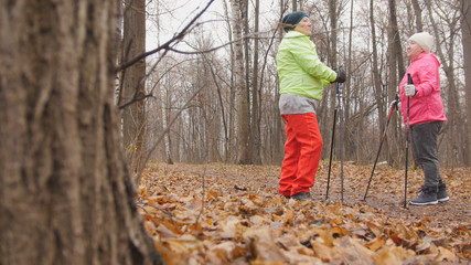 Elderly woman in autumn park doing warm up before nordic walking among yellow leaves