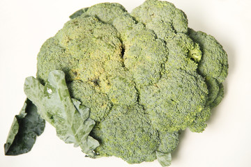 CRT0018542 © AGB Photo Library