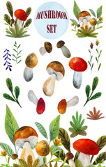 watercolor mushrooms set