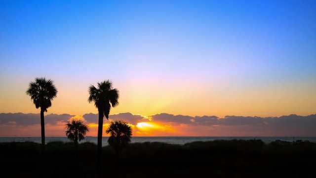 Tropical Florida Seascape Sunrise Timelapse over the Atlantic Ocean with Sun Rays Moving Through Clouds and a Palm Tree Foliage Foreground at Day Break