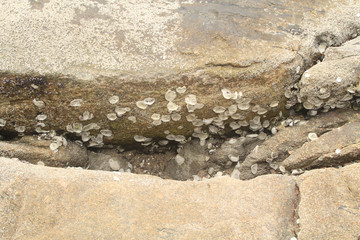 Guaruja, São Paulo, Brazil