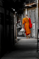 Walking monk
