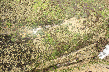 Guaruja, São Paulo, Brazil