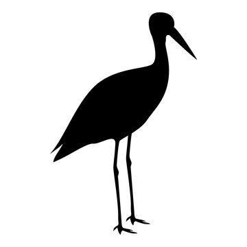 Stork ciconia icon black color illustration flat style simple image