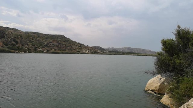 Lago del pantano de Elche