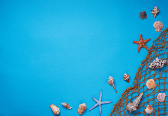 Different seashells and fishnet on blue background