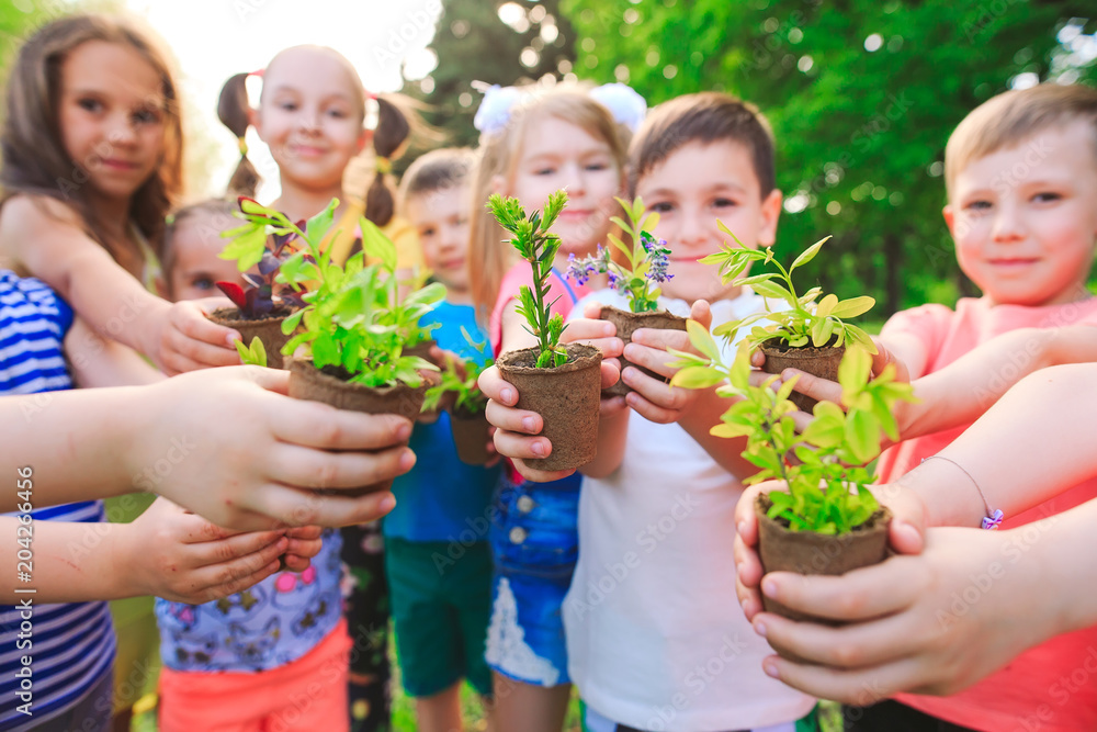 Wall mural people hands cupping plant nurture environmental