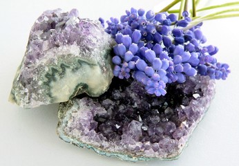 amethyst mineral close up still life