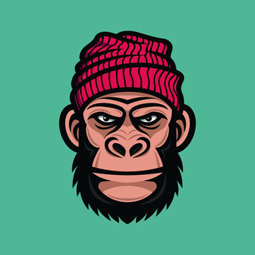 Monkey head in a knitted cap. Mascot gorilla