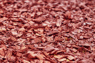 Wood chips of red color close-up texture background