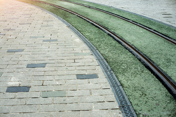 railways on the green street in the daylight