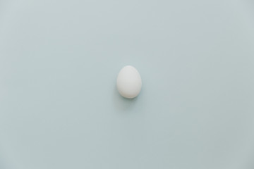 Egg on pastel minimal background