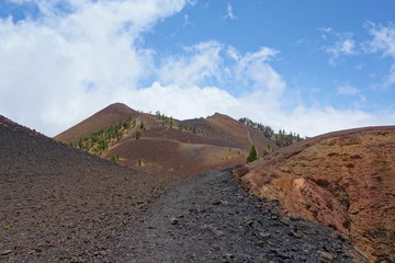 Landscape of a hiking trail GR131 Ruta de los Volcanes with canarian pine trees leading from Fuencaliente to Tazacorte on La Palma, Canary Islands, Spain