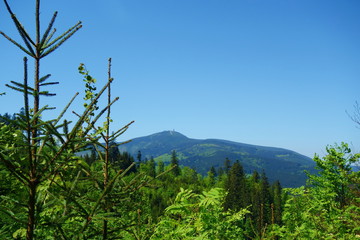 Fototapeta na wymiar Beskydy mountains during spring with a view on the highest peak called Lysa Hora, Czech Republic