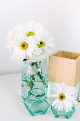 Summer flower in a vase on a light background
