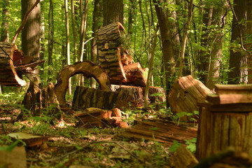 nature landscape flora forest trees trail Creek swamp bushes greenery walking oxygen air sky grass stump Creek water oxygen season autumn summer birch river glade mountain