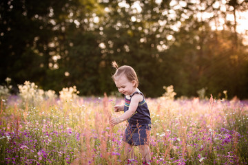 Little one year old girl in a purple flower field during the evening golden light in the summer.
