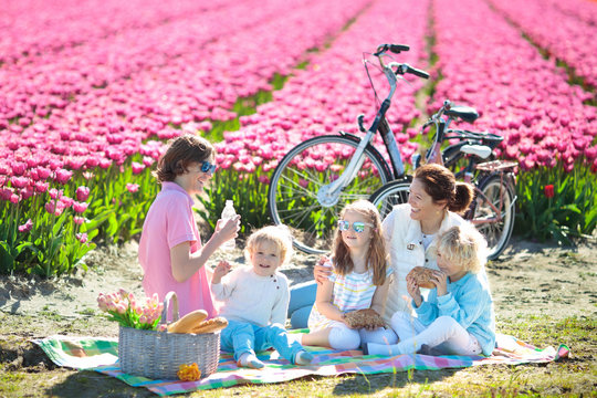 Family picnic at tulip flower field, Holland
