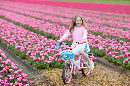 Child on bike in tulip field. Bicycle in Holland.