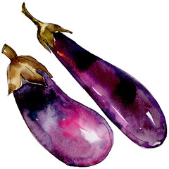 Eggplant healthy food in a watercolor style isolated. Full name of the vegetables: eggplant. Aquarelle wild vegetables for background, texture, wrapper pattern or menu.