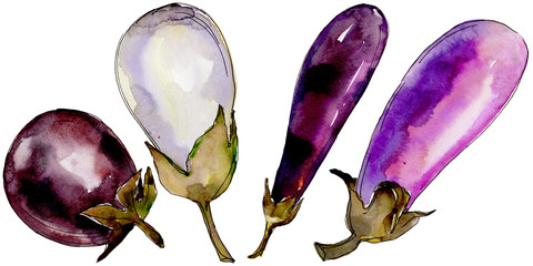 Eggplant healthy food in a watercolor style isolated. Full name of the vegetables: eggplant. Aquarelle wild vegetables for background, texture, wrapper pattern or menu.