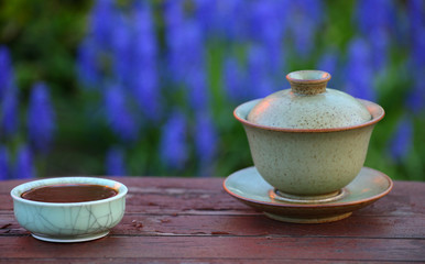 Black Chinese Tea garden