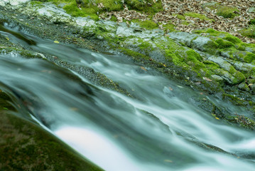 渓流の流れ
