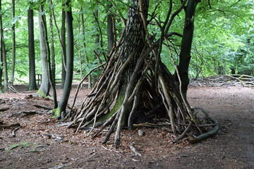 Hütte im Wald