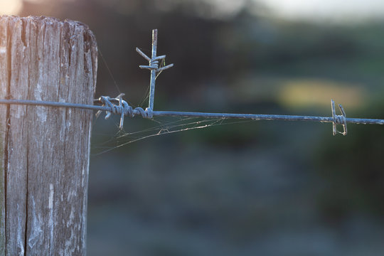 Twisted barbed wire fence with spider web - Powered by Adobe