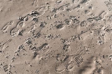 Footprints in wet sand, beach ground