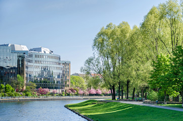 Fototapeta premium Banks of the river Spree with the buildings of Skandia insurance company and flowering trees in Berlin, Germany