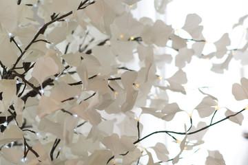 Closeup of White Branches with Fairy Lights